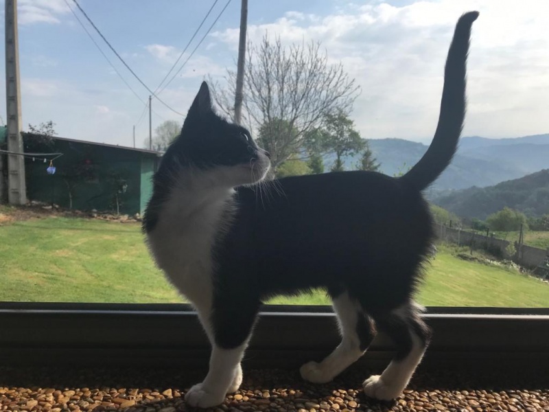 Foto Greta