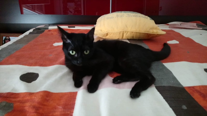 Foto Llara