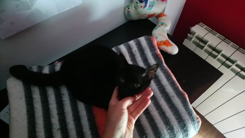 Foto Llara