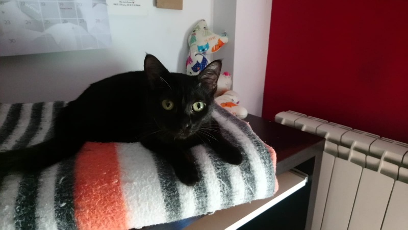 Foto Llara