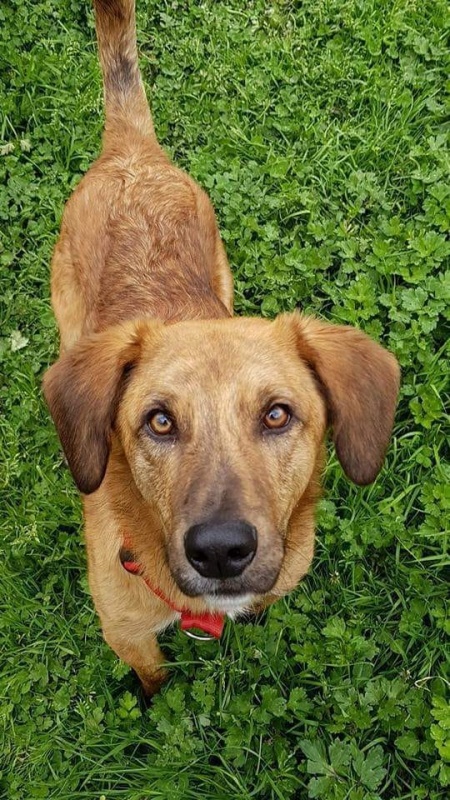 Foto Argos