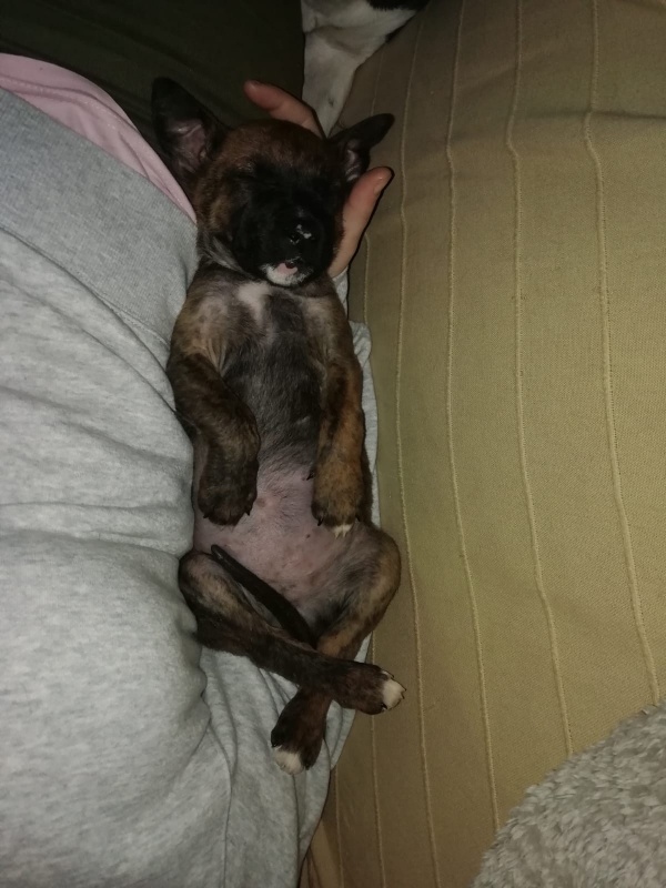 Foto Burbuja