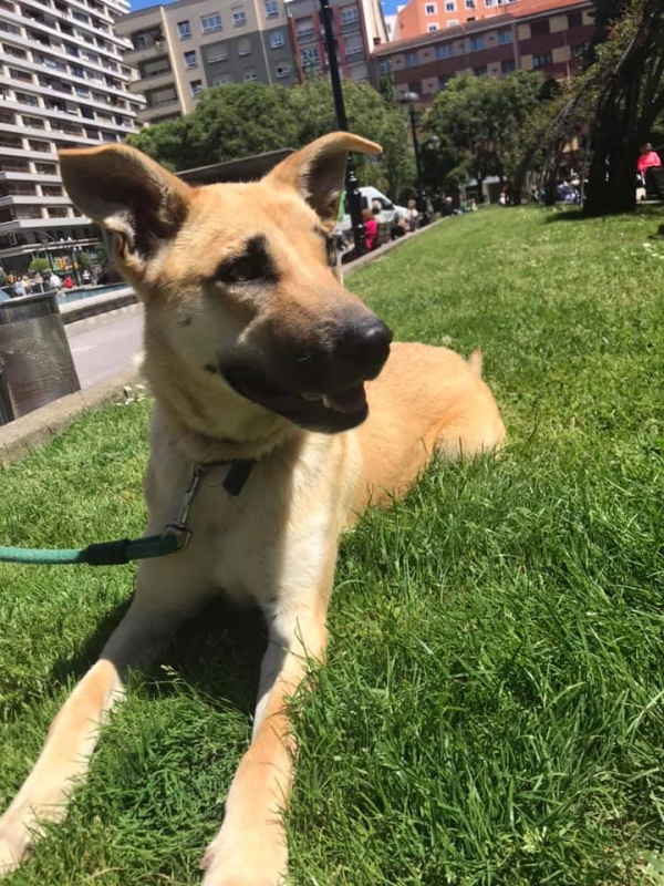 Foto Aura