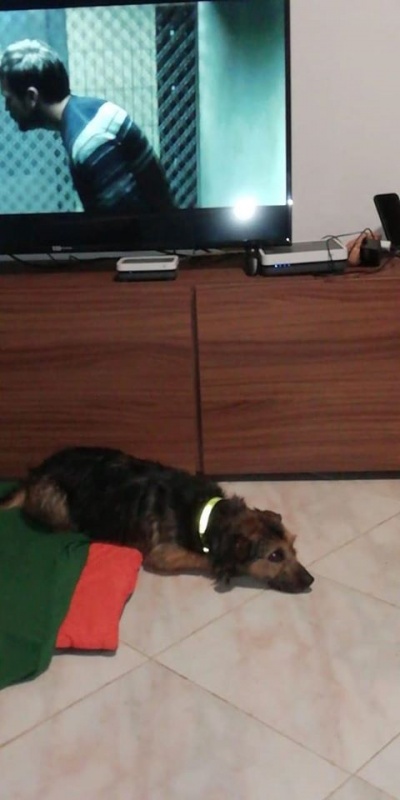 Foto Bimbo