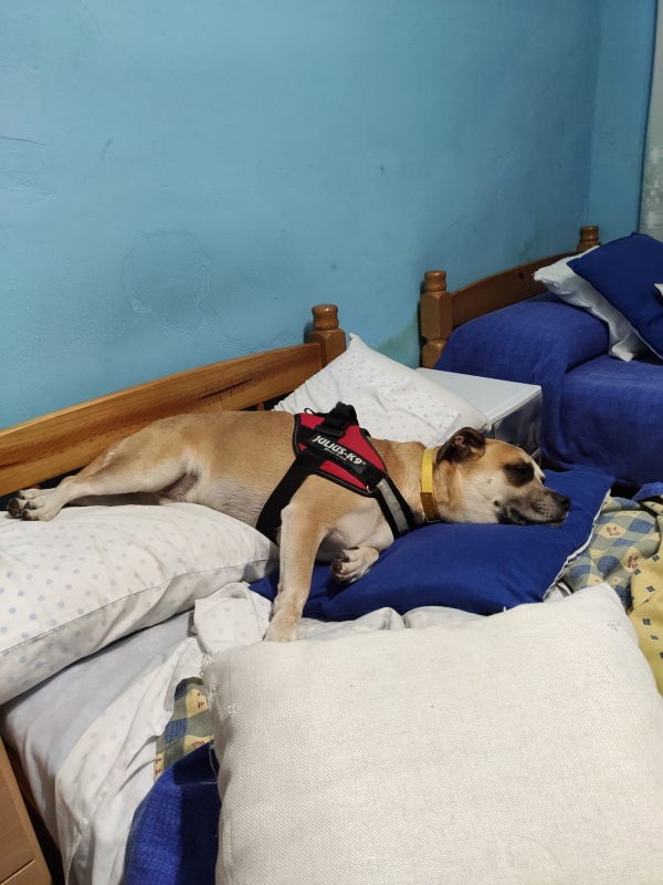 Foto Zeus