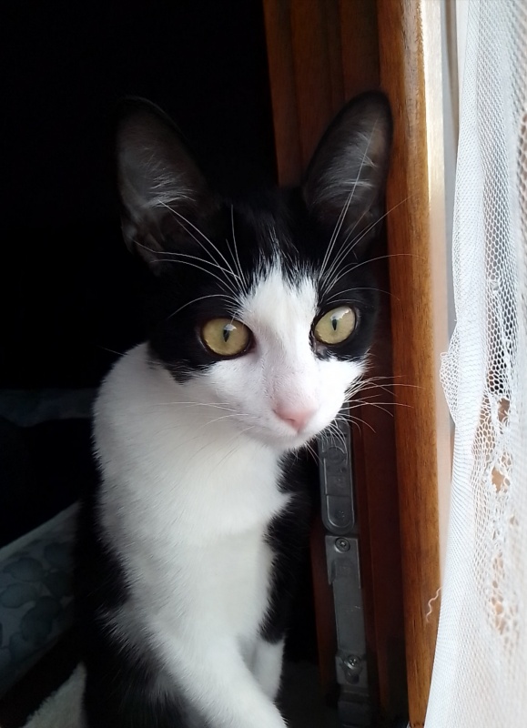 Foto Santi