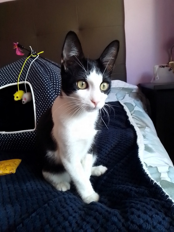 Foto Santi