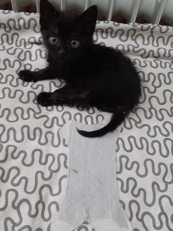 Foto Pepa y Pepe