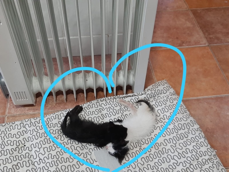 Foto Pepa y Pepe