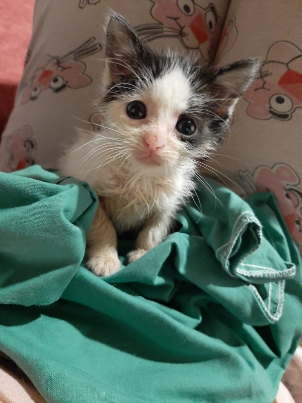 Foto Pepa y Pepe