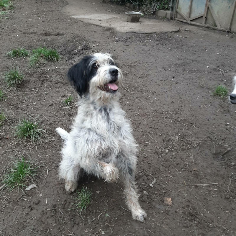 Foto Noa