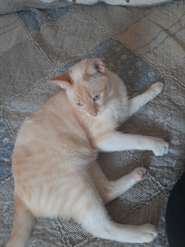 Foto Albert