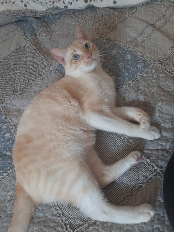 Foto Albert