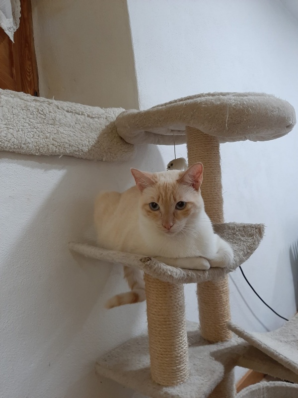 Foto Albert