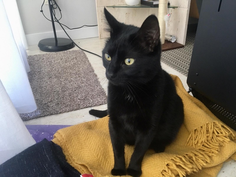 Foto Sofi