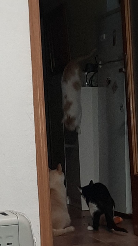 Foto Manuel