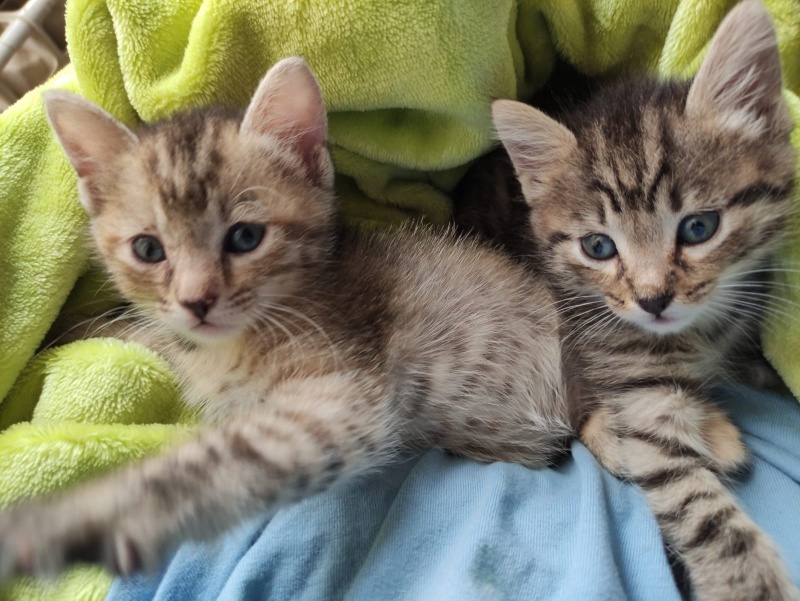 Foto Pili y Mili