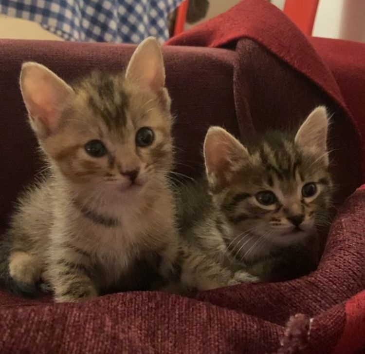 Foto Pili y Mili