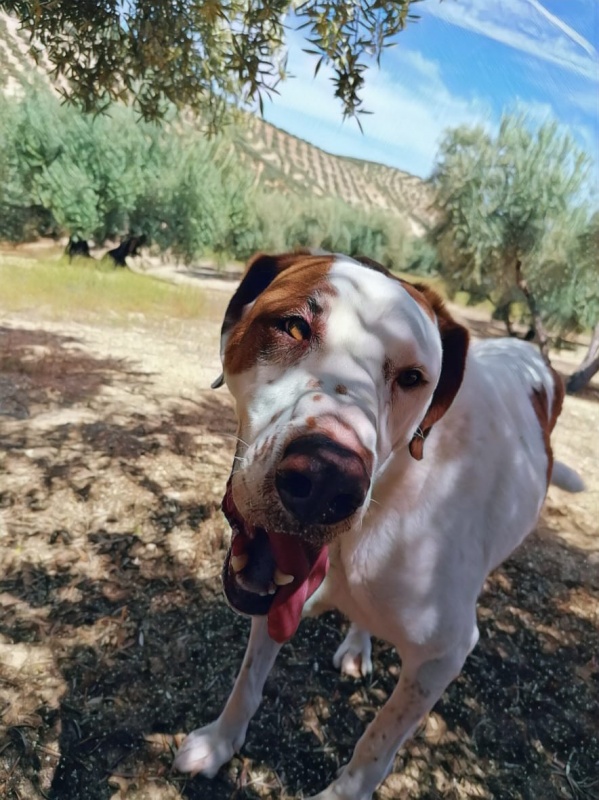 Foto Paul