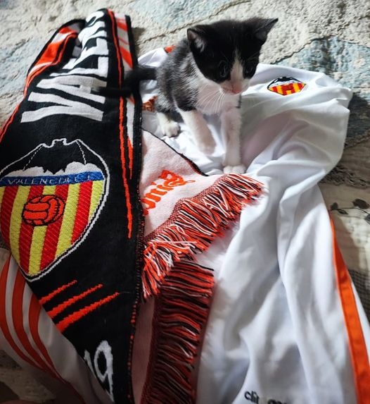 Foto Pablo