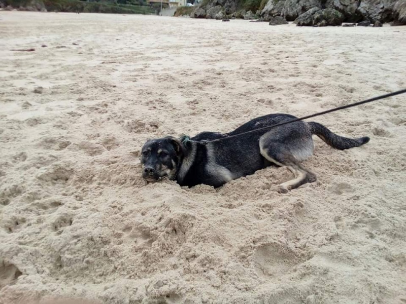 Foto Leo