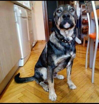 Foto Leo