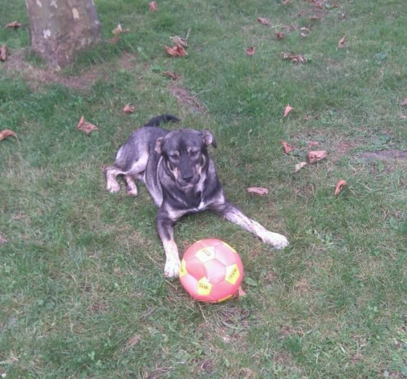 Foto Leo