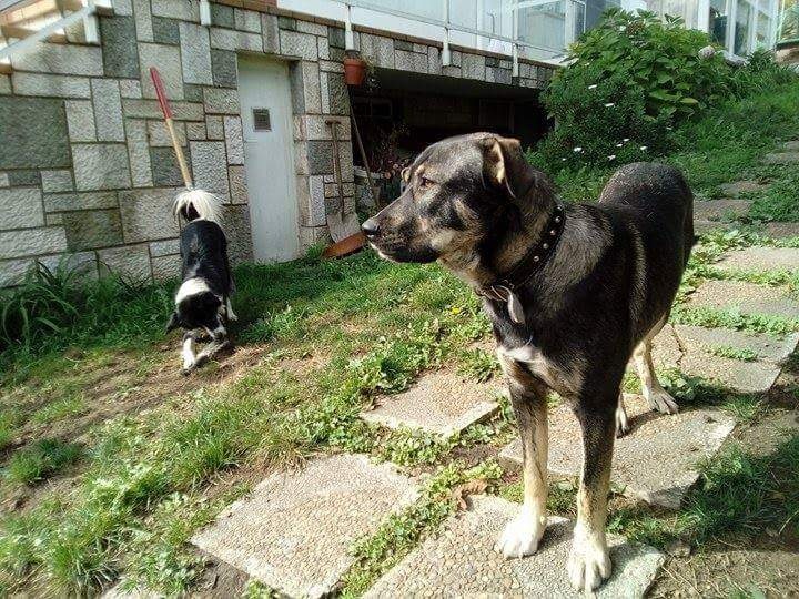 Foto Leo