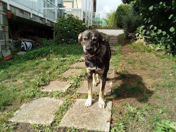 Foto Leo