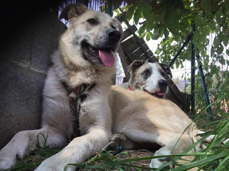 Foto Luna 