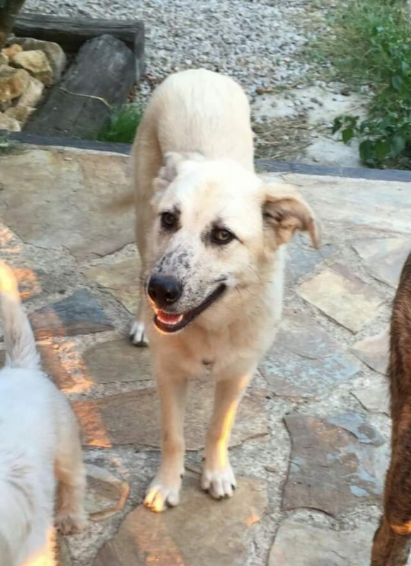 Foto Luna 