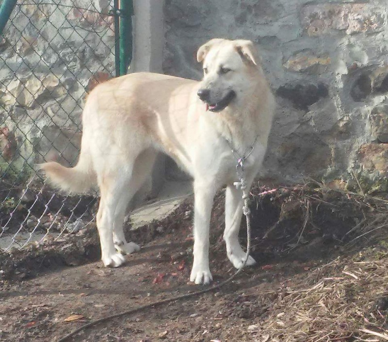 Foto Luna 