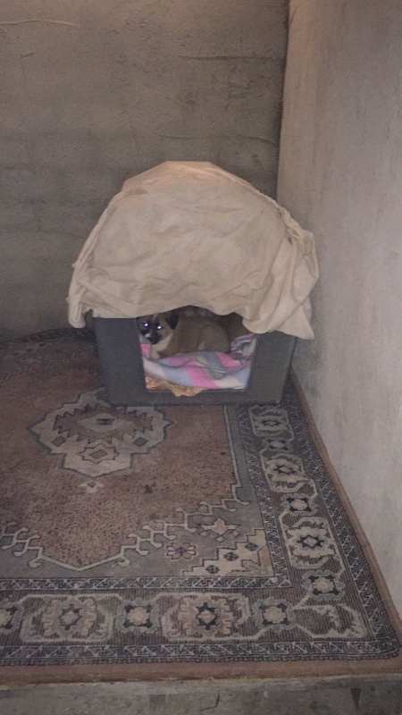 Foto Meiga