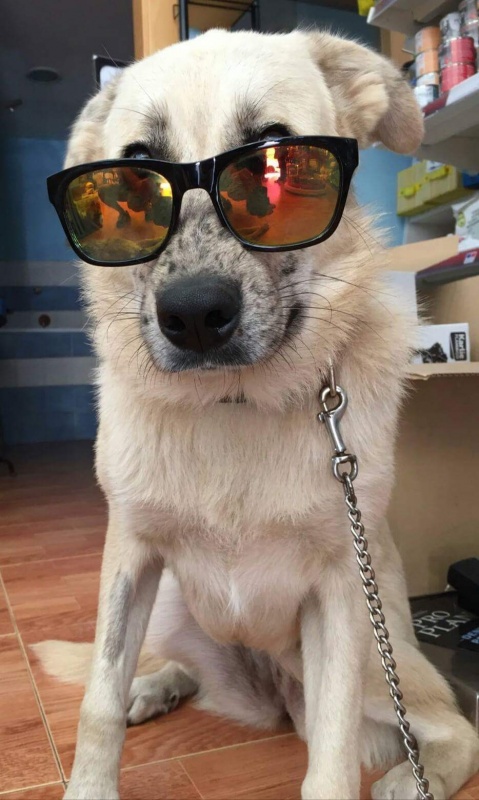 Foto Luna 