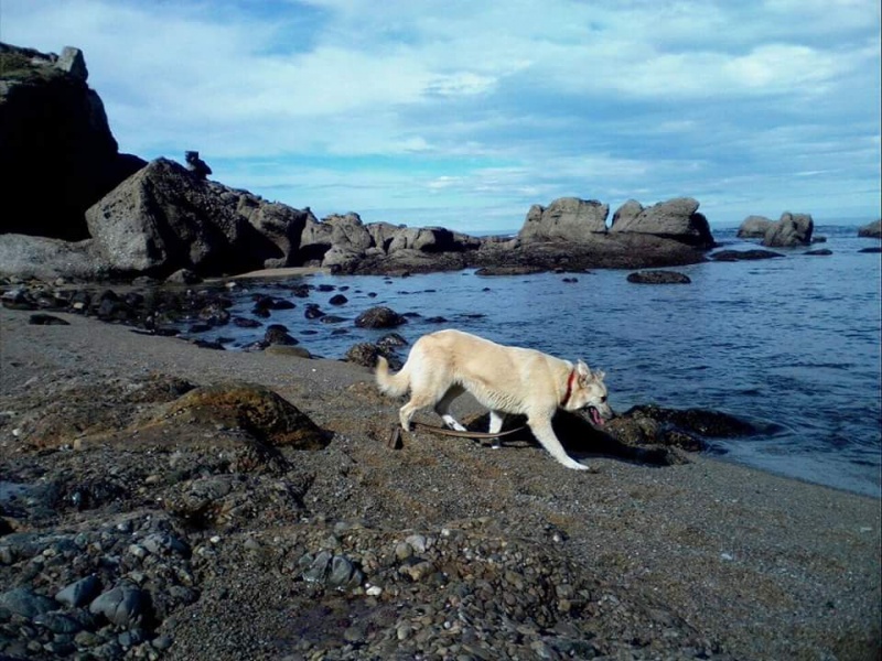 Foto Luna 