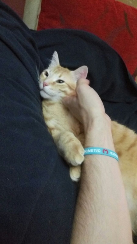 Foto Kobu