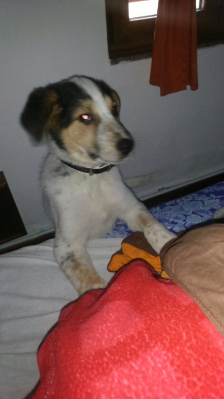 Foto Xana