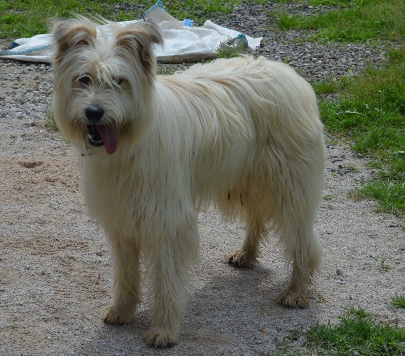Foto Milou