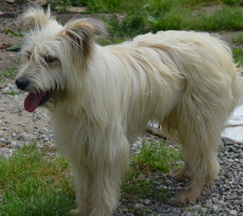 Foto Milou