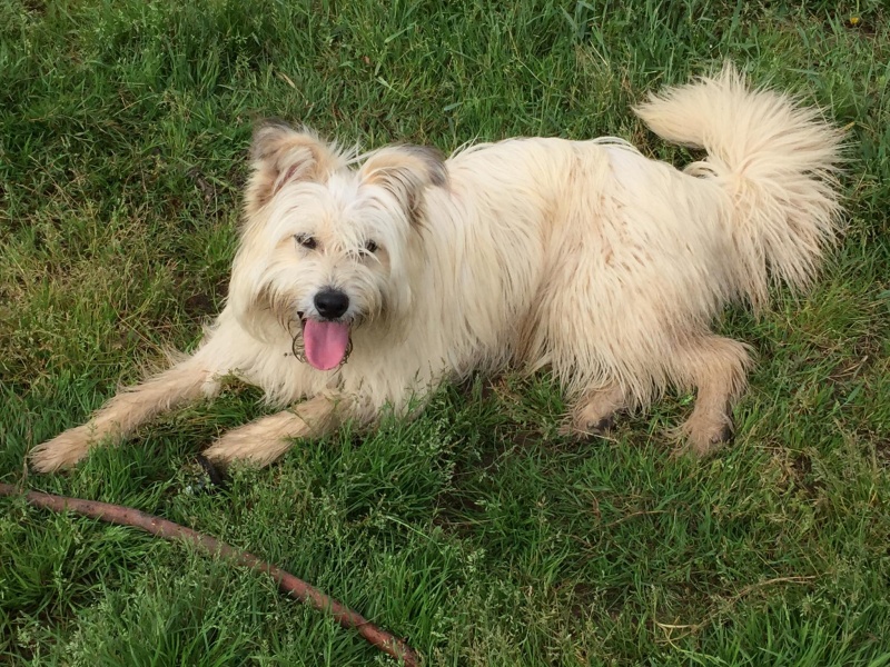 Foto Milou