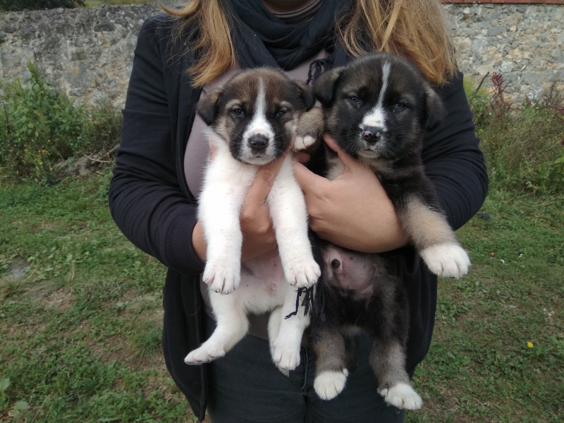 Foto Rachel y Deckard