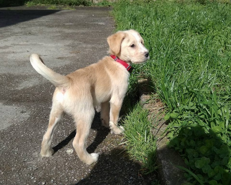 Foto Zeus