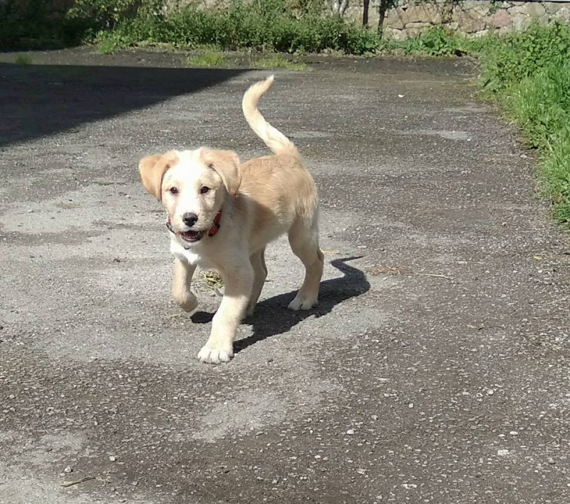 Foto Zeus