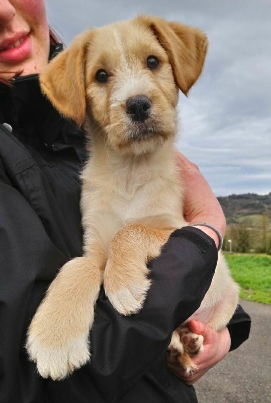 Foto Zeus