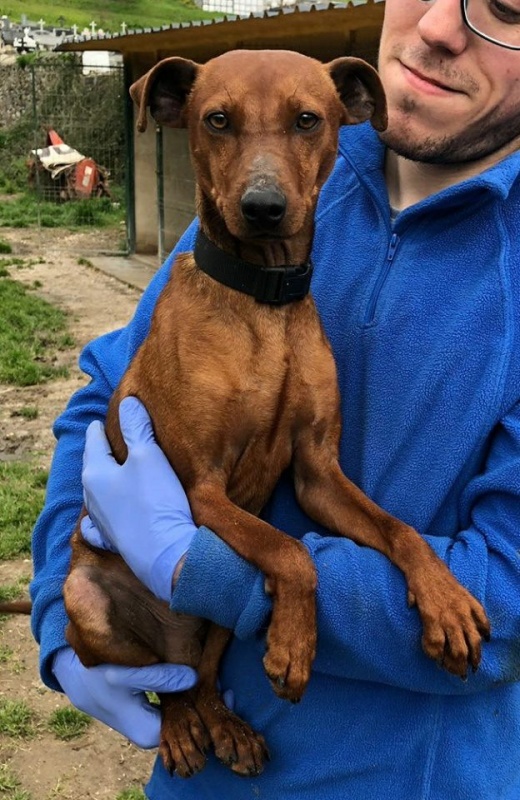 Foto Max