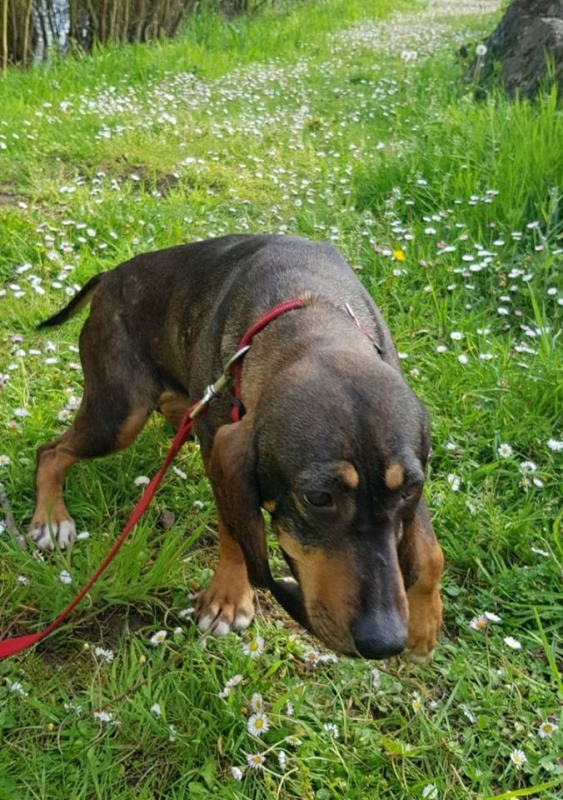 Foto Luci