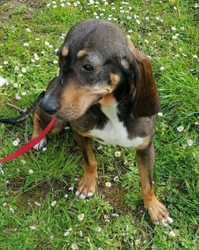 Foto Luci