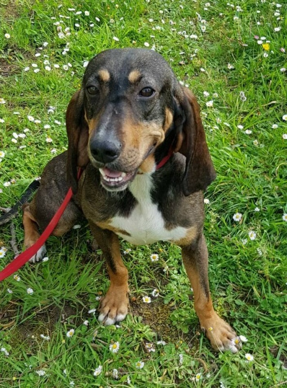 Foto Luci