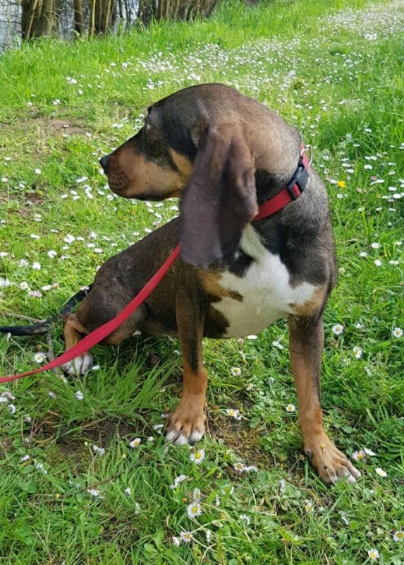 Foto Luci
