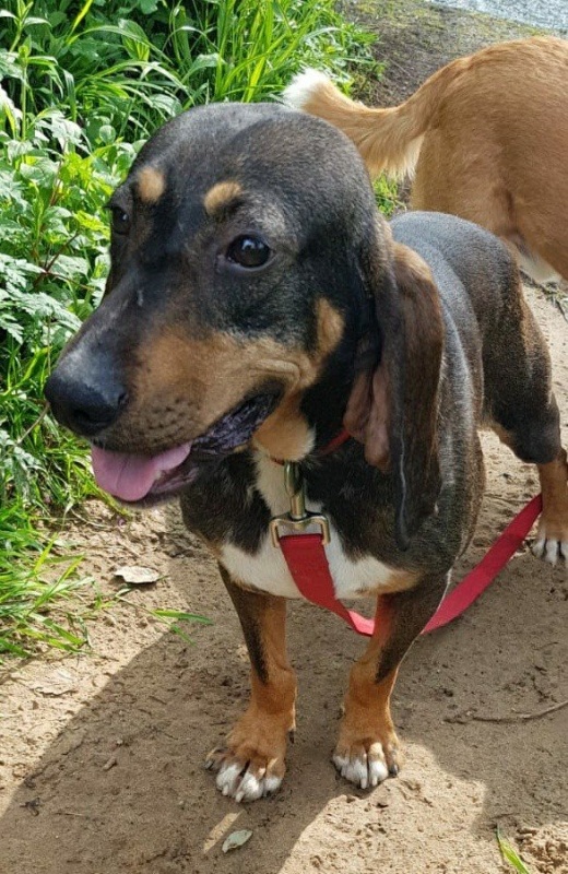 Foto Luci